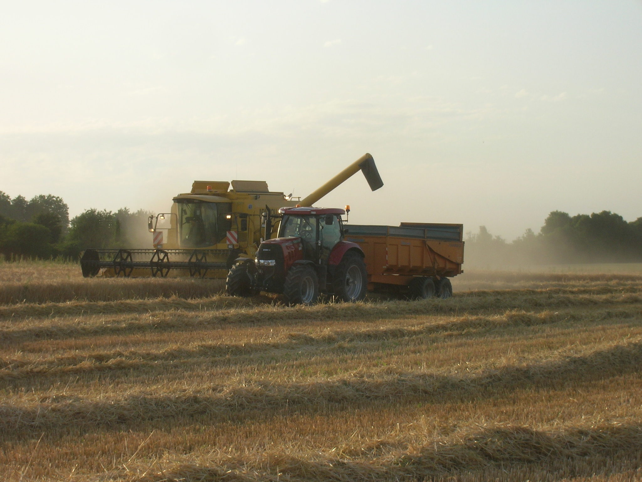 La ferme du Lycée Agricole • Campus Terre & Avenir - Alençon et Sées