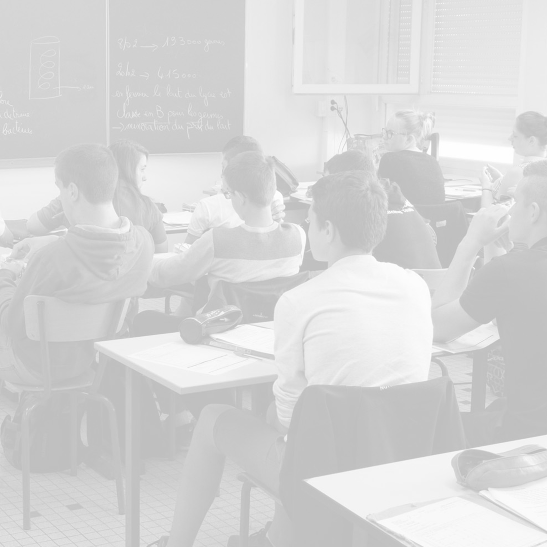 BTS, Licence, poursuivez vos études après le Bac en vous spécialisant dans la filière de votre choix