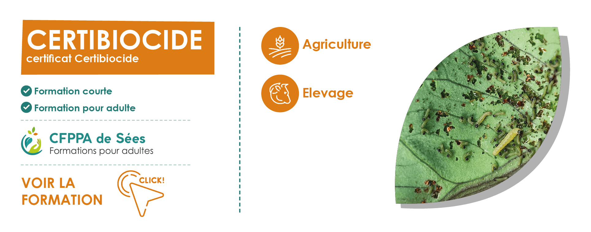 certibiocide-formation-pour-adulte-reconversion-professionnelle