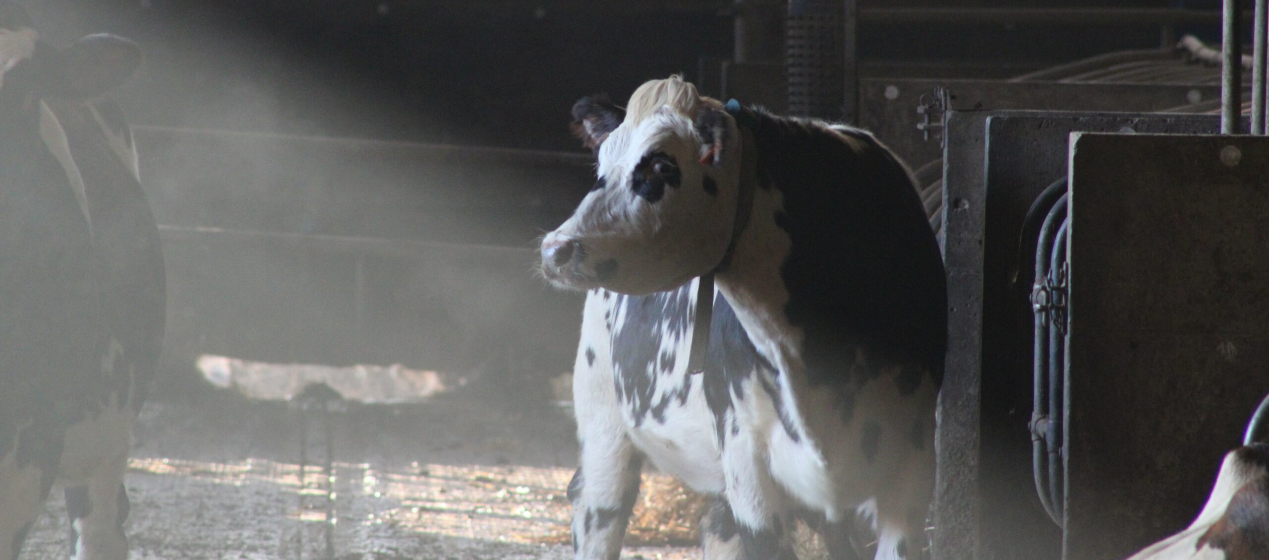 exploitation-la-ferme-pedagogique-du-lycee-agricole-de-sees-min