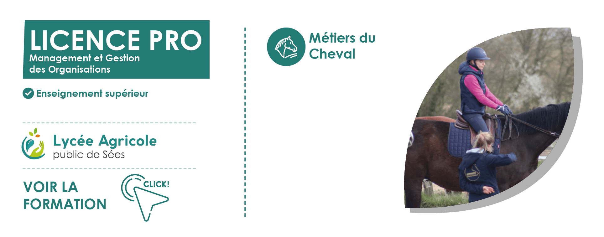 licence-professionnelle-cheval-lycee-agricole-de-sees-enseignement-superieur