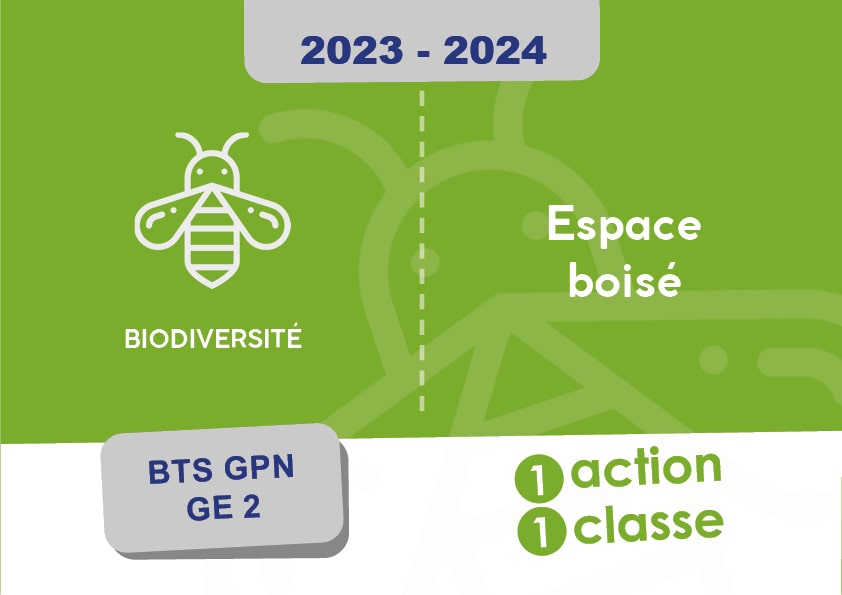 affiches-1action-1classe-espace-boise