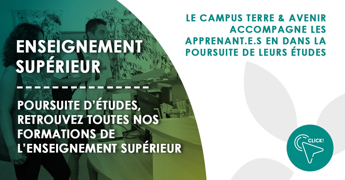 Poursuite d'études | Nos formations dans l'enseignement supérieur