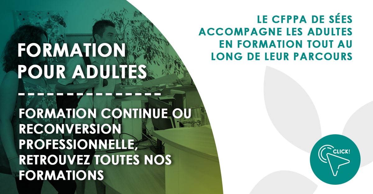 Reconversion professionnelle Formations continues pour adultes — free download