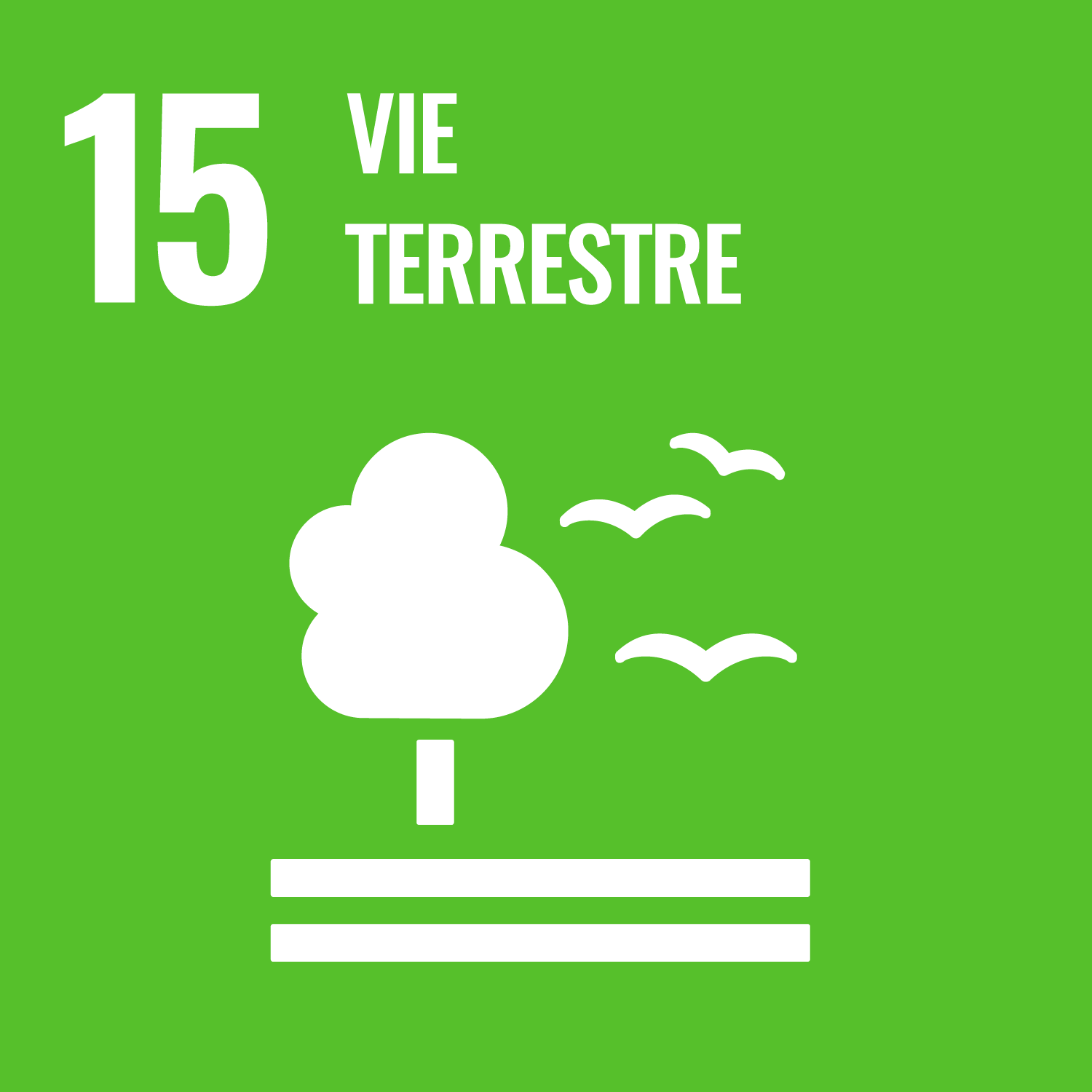 Objectif de développement durable 15: Vie terrestre;
