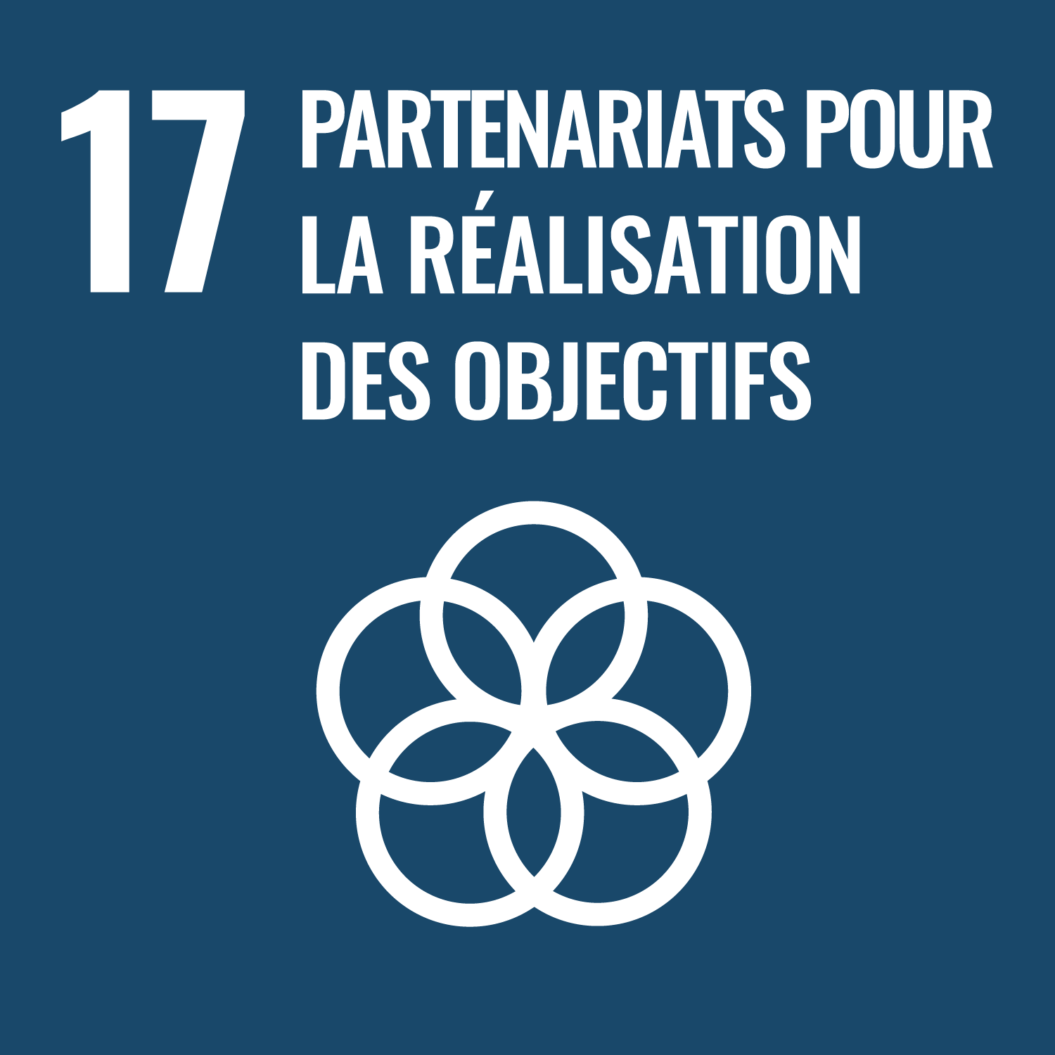 Objectif de développement durable 17 : Partenariats pour la réalisation des objectifs;