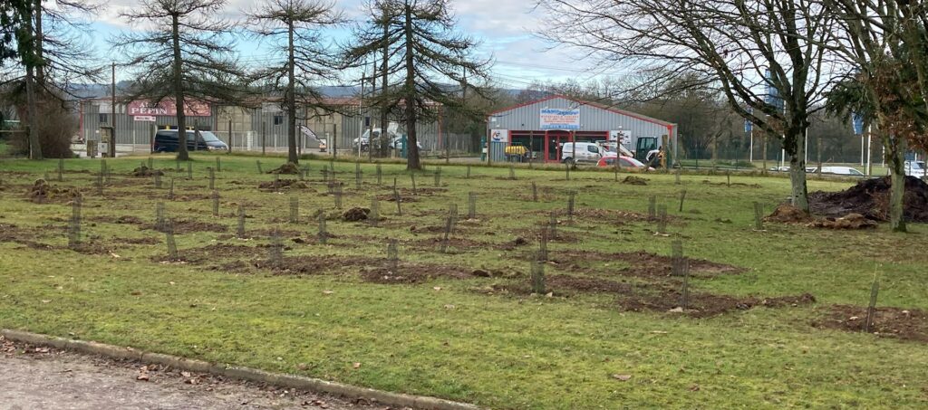 travaux-amelioration-ecologique-espaces-exterieurs-biodiversite-min